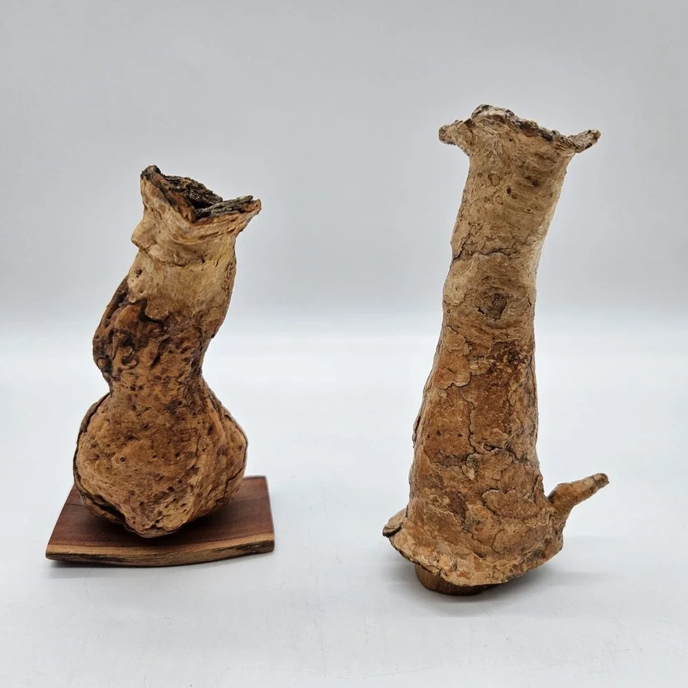 Southwestern Natural Arizona Saguaro Cactus Skeleton Bud Vases Lot of 2
